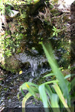 Un bassin � championsla rivi�re  5 