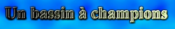 Un bassin � champions  1 