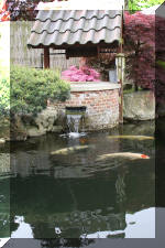 Ko� San Belgique - Le jardin Japonais  31 