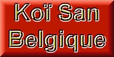 Ko� San Belgique - Le jardin Japonais 3  1 