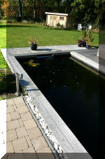 le r�sultat final de ce superbe bassin a ko�  2 