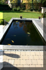 le r�sultat final de ce superbe bassin a ko�  3 