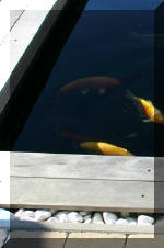 le r�sultat final de ce superbe bassin a ko�  14 