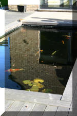 le r�sultat final de ce superbe bassin a ko�  8 