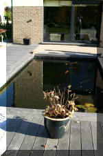 le r�sultat final de ce superbe bassin a ko�  13 