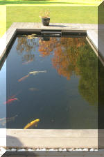 le r�sultat final de ce superbe bassin a ko�  37 