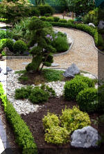 Purnod 4 un jardin japonais de r�ve  3 