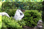 Purnod 4 un jardin japonais de r�ve  10 