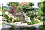 Purnod 5 un jardin japonais de r�ve  8 