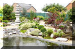 Purnod 5 un jardin japonais de r�ve  11 