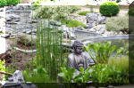 Purnod 5 un jardin japonais de r�ve  17 