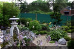 Purnod 9 un jardin japonais de r�ve  8 