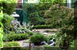 Purnod 9 un jardin japonais de r�ve  12 
