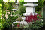 Purnod 9 un jardin japonais de r�ve  19 