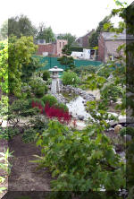 Purnod 9 un jardin japonais de r�ve  25 