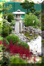 Purnod 9 un jardin japonais de r�ve  27 