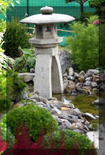 Purnod 9 un jardin japonais de r�ve  28 