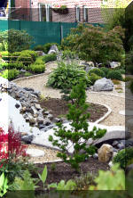 Purnod 9 un jardin japonais de r�ve  29 