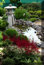 Purnod 9 un jardin japonais de r�ve  30 