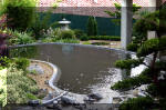 Purnod 9 un jardin japonais de r�ve  32 
