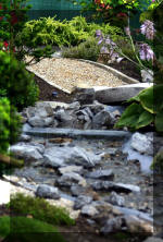 Purnod 10 un jardin japonais de r�ve  15 