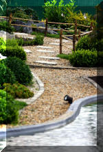 Purnod 10 un jardin japonais de r�ve  16 