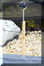 Purnod 10 un jardin japonais de r�ve  23 