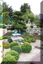 Purnod 8 un jardin japonais de r�ve  12 