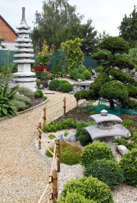 Purnod 8 un jardin japonais de r�ve  1 