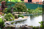 Purnod 8 un jardin japonais de r�ve  16 
