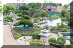 Purnod 8 un jardin japonais de r�ve  17 