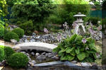 Purnod 8 un jardin japonais de r�ve  21 