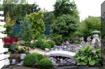 Purnod 8 un jardin japonais de r�ve  28 