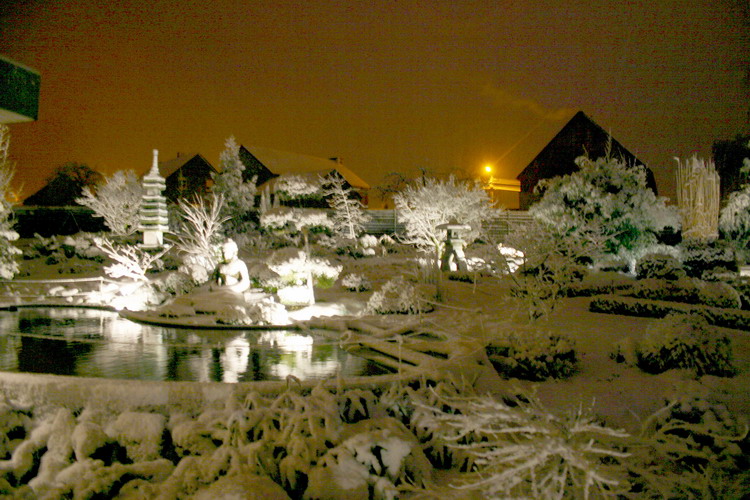 Purnod 15 un jardin japonais de r�ve  1 