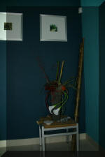 Purnod 13 un jardin japonais de r�ve  13 