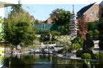 Purnod 18 un jardin japonais de r�ve  28 