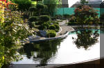 Purnod 19 un jardin japonais de r�ve  28 