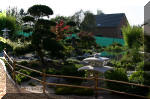 Purnod 19 un jardin japonais de r�ve  12 