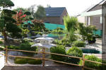 Purnod 19 un jardin japonais de r�ve  11 