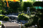 Purnod 19 un jardin japonais de r�ve  7 