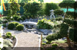 Purnod 20 un jardin japonais de r�ve  39 
