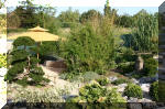 Purnod 20 un jardin japonais de r�ve  21 