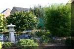 Purnod 20 un jardin japonais de r�ve  12 