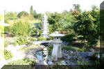 Purnod 20 un jardin japonais de r�ve  4 