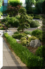 Purnod 21 un jardin japonais de r�ve  11 