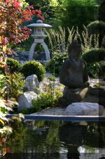 Purnod 21 un jardin japonais de r�ve  8 