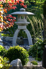 Purnod 21 un jardin japonais de r�ve  10 