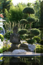 Purnod 21 un jardin japonais de r�ve  13 