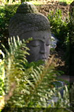 Purnod 21 un jardin japonais de r�ve  17 