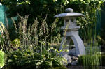 Purnod 21 un jardin japonais de r�ve  28 